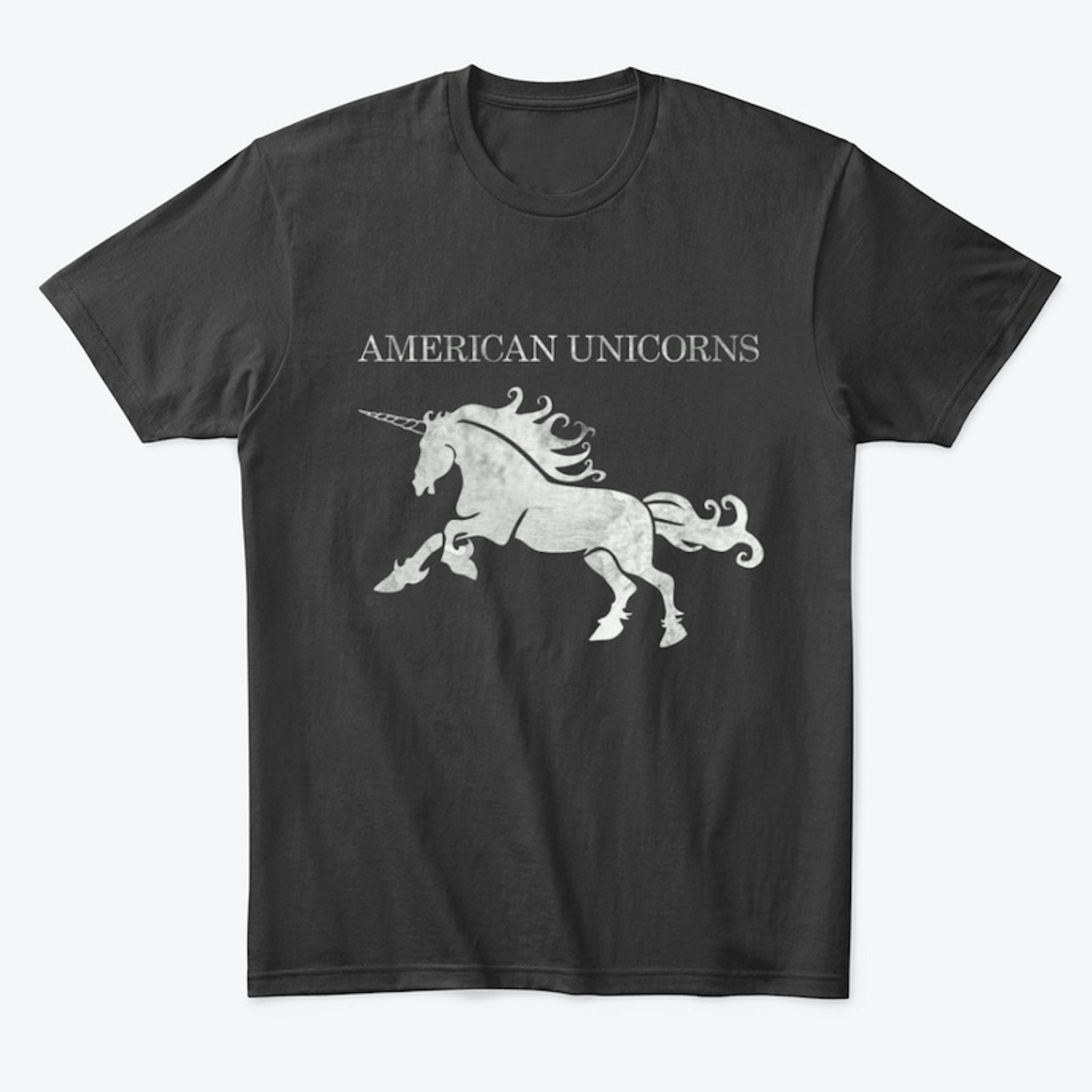 American Unicorns grunge