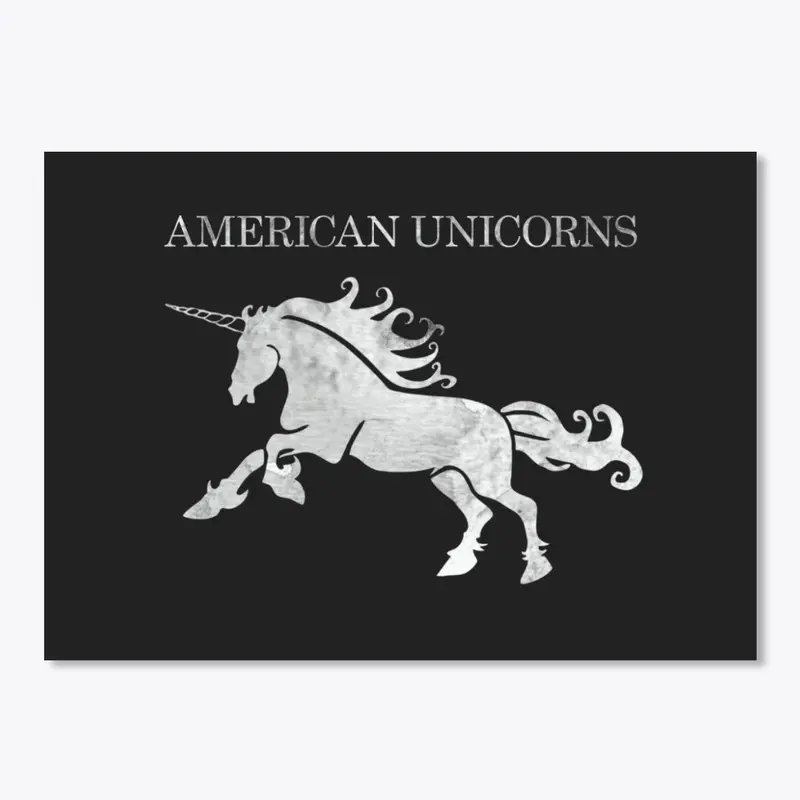 American Unicorns grunge