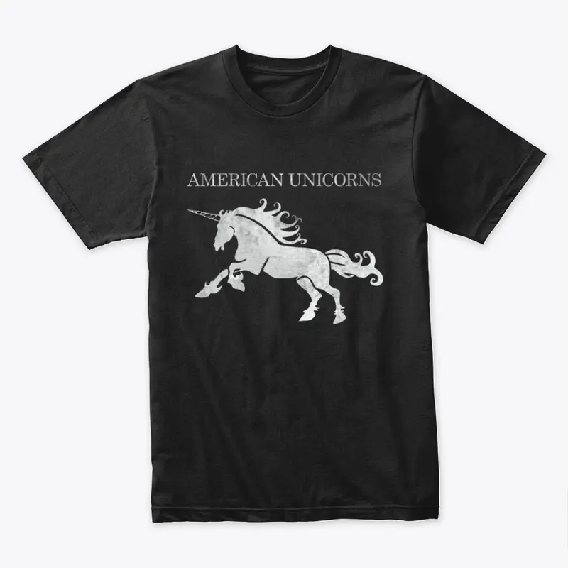 American Unicorns grunge