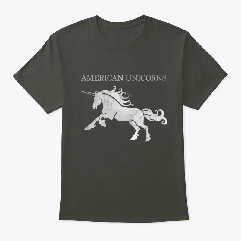 American Unicorns grunge